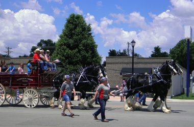 Skt News Article June 2019 Featured Image Rfd Tv Chisholm Trail Riders