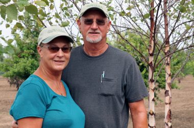 Skt News Article September 2019 Featured Image Woods Tree Farm