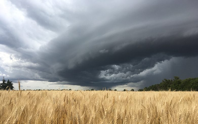 Skt News Article February 2020 Featured Image Weston Burford