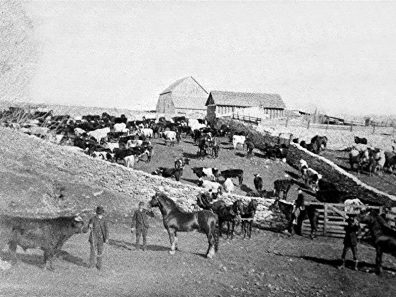 Skt News Article August 2020 Burden History Ranch Barns