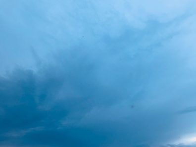 Autumn Eilerts Halcyon