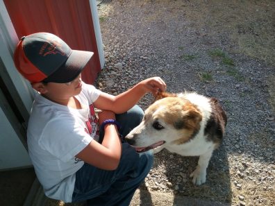 Lori Mattingly Boys Best Friend