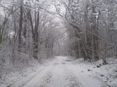 Lori Mattingly Grouse Creek Winter Wonder