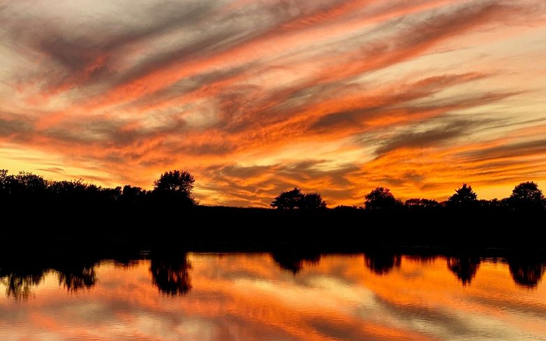 Skt News Article November 2020 Featured Image Michielle Doll