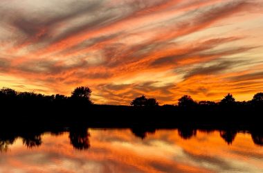 Skt News Article November 2020 Featured Image Michielle Doll