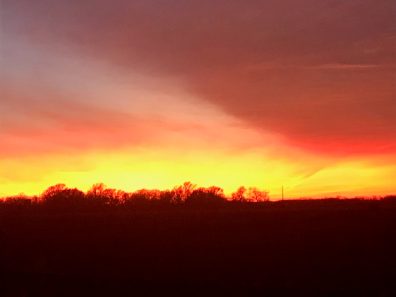 Alaina Smith Blazin Sunset