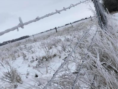 Amy Layton Snow And Fence