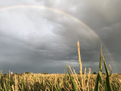 Caden Burford Gods Promise