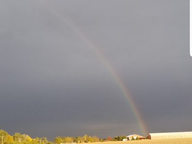 Clayton Robinson The Storm Will Pass