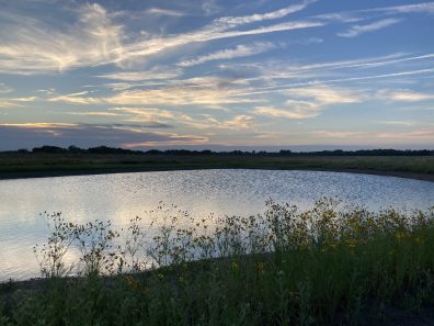 Greg Kalkwarf Perfection