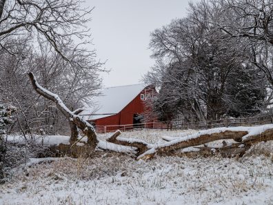 Jay Stockhaus Red Barn In The Snow