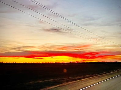 Kent Brown Sunset Wires