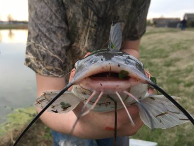 Lisa Berntsen Fishing At The Ponds