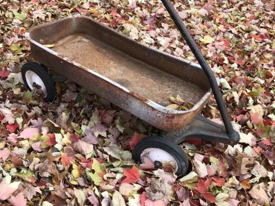 Lisa Berntsen My Sons First Wheels