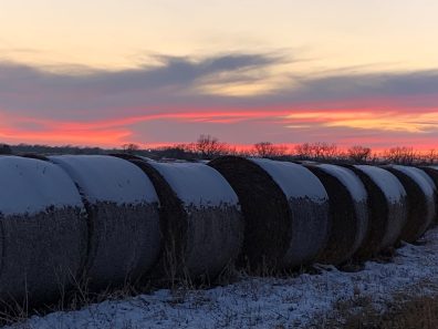 Sondra Chambers Sun Setting Walkin Down The Road