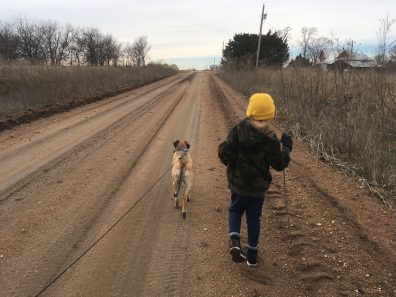 Wendy Bullard Where We Go