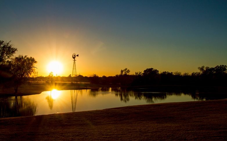 Skt News Article February 2021 Featured Image Shelby Robinson