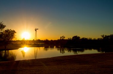 Skt News Article February 2021 Featured Image Shelby Robinson