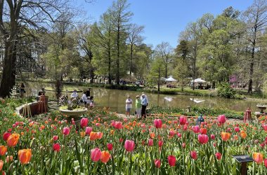 Skt News Article April 2021 Featured Image Bartlett Arboretum