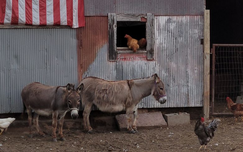 2021 09 Skt News Article September 2021 Featured Image Barbara Crozzer