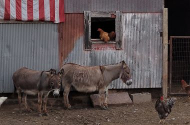 2021 09 Skt News Article September 2021 Featured Image Barbara Crozzer