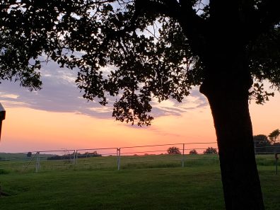 Deanna Jones Summer Sunset