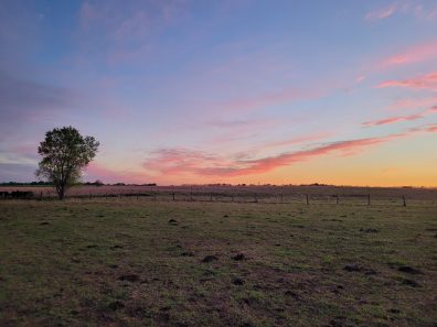 Diane Hahn Peaceful Evening By Burden