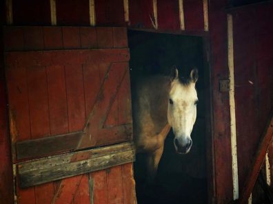 Kate North Buckskins Barn