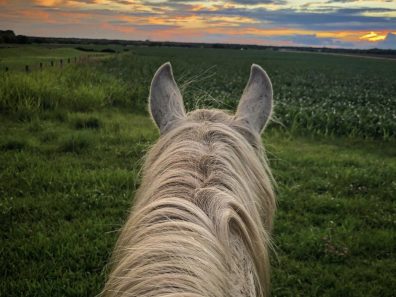 Kate North Horseback Sunset