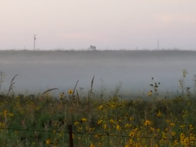 Katherine Brown Early Morning