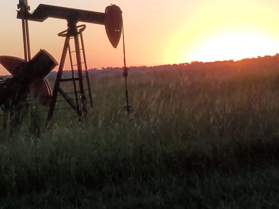 Katherine Brown Morning Work