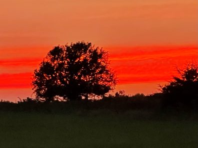 Michielle Doll Lonely At Sunset