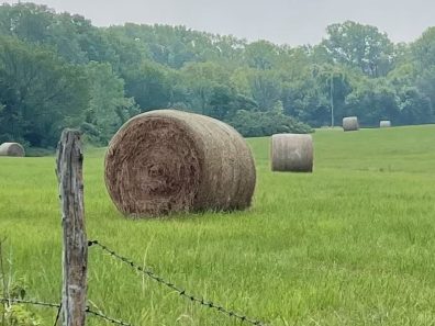 Michielle Doll Old And New