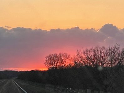 Sandy Trigg Highway Sunset