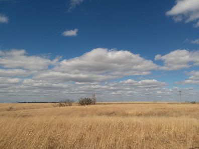 Sara Mundy Outside Burden Pasture