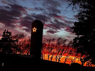 Tambra Hiser Starred Silo