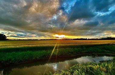 Skt News Article April 2022 Featured Image Tambra Hiser