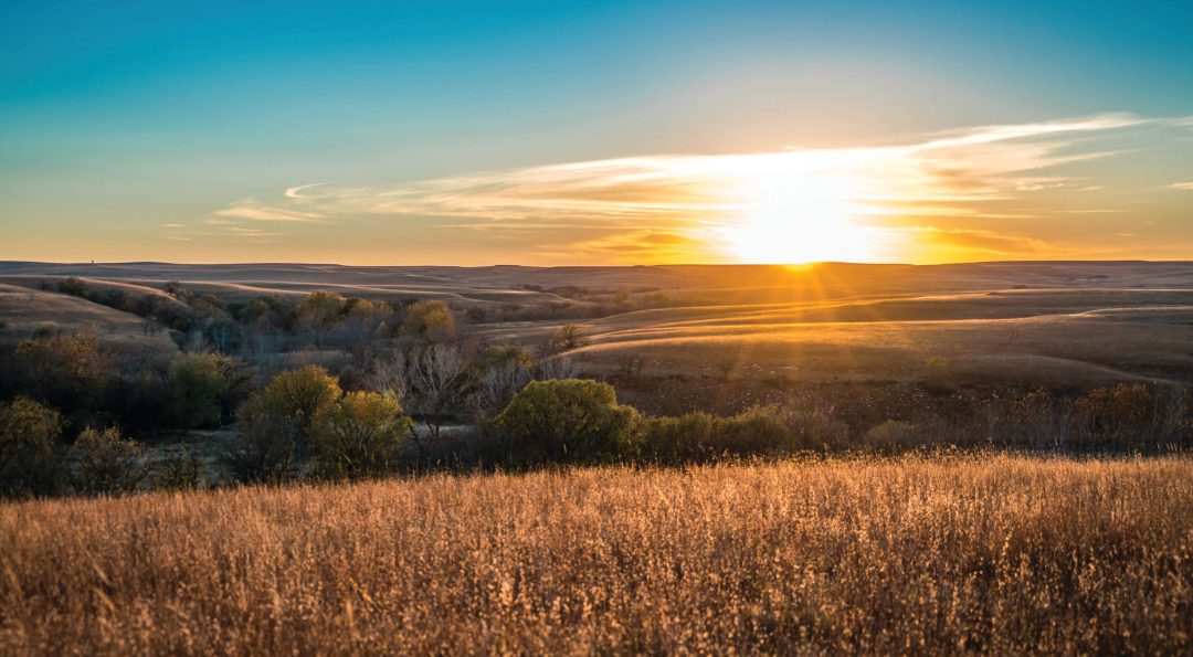 AdobeStock 138762502 Cmyk Scaled 1.jpg