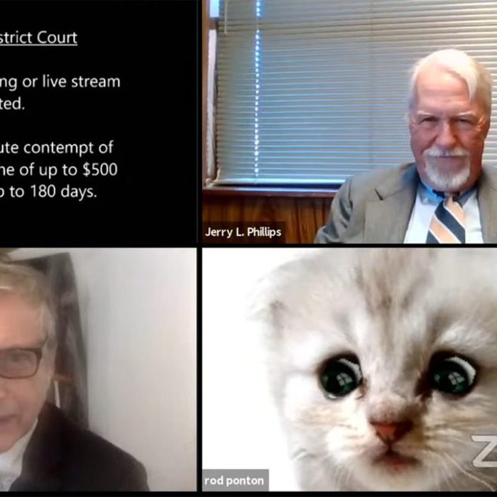 Skt News Article February 2021 Image Listing Cat 754×660 C