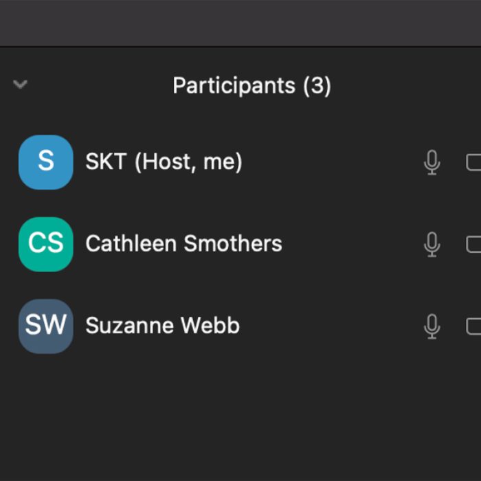Skt News Article February 2021 Image Listing Zoom Participants2 754×660 C