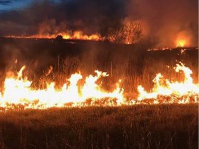 Skt News Article July 2020 Featured Image Rosalia Ranch Burning Grass 315×291 C