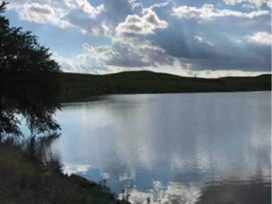 Skt News Article July 2020 Featured Image Rosalia Ranch Pond 315×291 C