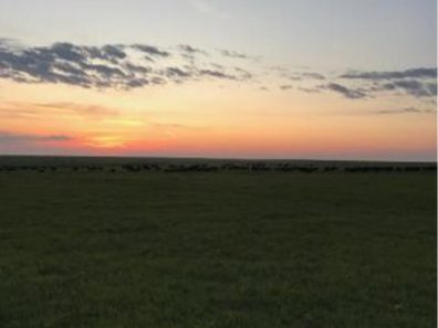 Skt News Article July 2020 Featured Image Rosalia Ranch Sunset 315×291 C