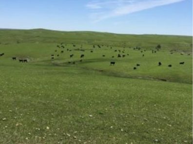 Skt News Article July 2020 Featured Image Rosalia Ranch2 315×291 C