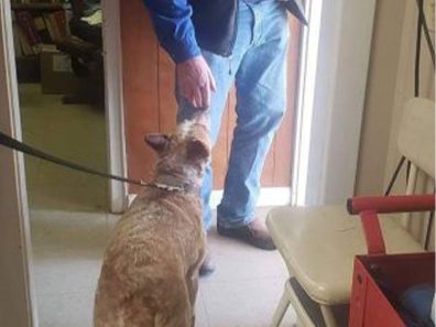 Lenington 4 315×291 C