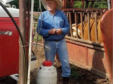 Lenington 7 315×291 C