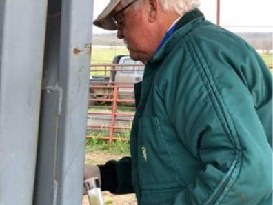 Lenington 8 315×291 C