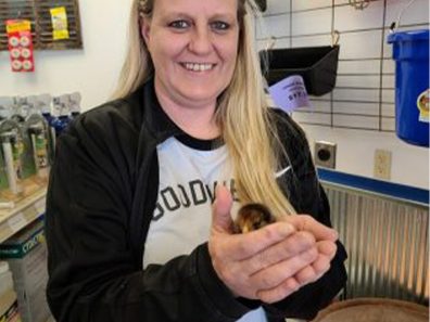 Skt News Article March 2020 Image Clearwater Farm Garden 2 315×291 C