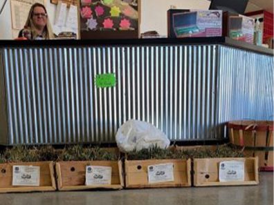 Skt News Article March 2020 Image Clearwater Farm Garden 11 315×291 C