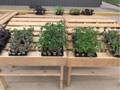 Skt News Article March 2020 Image Clearwater Farm Garden 14 315×291 C